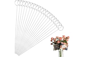 YIMERLEN 30 Pcs Metal Wire Floral Picks 13 Inch Wire Place Card Holder, Metal Table Name Number Clips Picture Stand, Round Photo Memo Flower Card Holder for Wedding Party Birthday ​Cake (Silver Round) ​