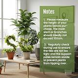 Mcbazel Moss Pole 2 Pack 100cm Bendable Coir Plant Support with Ties & Tape view 7