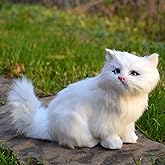 Realistic Simulation Small Furry White Persian Cat Figurine - Home Office Shelf Car Decoration Kitty Stuffed Animal Kitten Replica with Synthetic Fur, Photo Props Collectible Gift