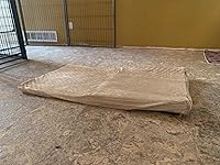 Review Image by M. Everard