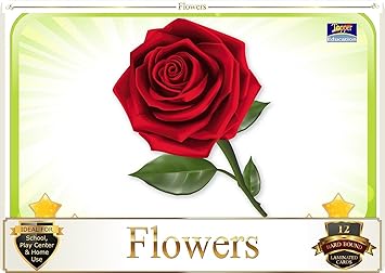 Topper : Kiddies Flash Cards - Flowers