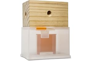 Bee Warehouse - Carpenter Bee Trap - Wood Boring Bee Trap - Unique Catch & Release Outdoor Carpenter Bee Trap - Includes Hanging Hardware & 5 Bee Dams