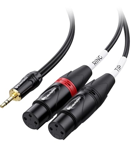 Amazon.com: JOLGOO Dual XLR Female to 3.5 mm TRS Stereo Microphone