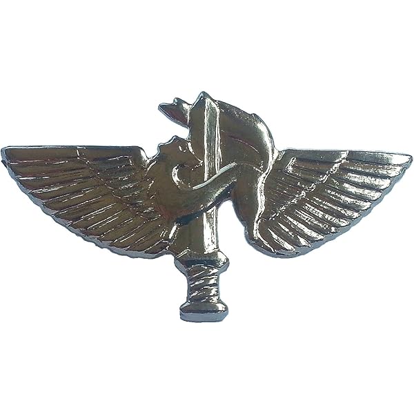 IDF イスラエル空軍　バージ ピン Badge Pin B IDF イスラエル空軍 バージ ピン Badge Pin B Authentic Vintage