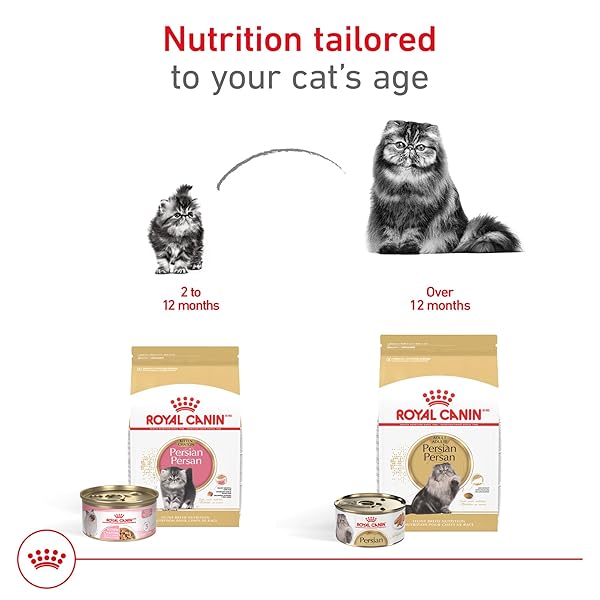 ROYAL CANIN FELINE BREED NUTRITION PERSIAN ADULT DRY CAT FOOD, 7 LB BAG