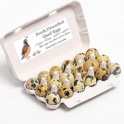 SMARSTICKER Unwashed Chicken Quail Duck Egg Carton