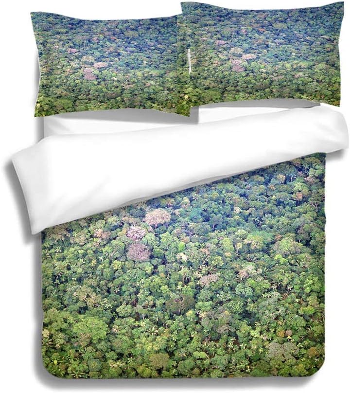 Best Amish Canopy Bedding