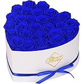 GLAMOUR BOUTIQUE Preserved Roses in a Box - Gifts for Her, Wife & Mom, Rose Flowers Forever Decor for Birthday Gift, Get Well Flower Bouquet Cased in White Box with Cover, Blue, 27 (Color-Treated)