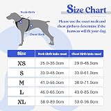 rabbitgoo Large Dog Harness No Pull Reflective Adjustable Blue XL view 2