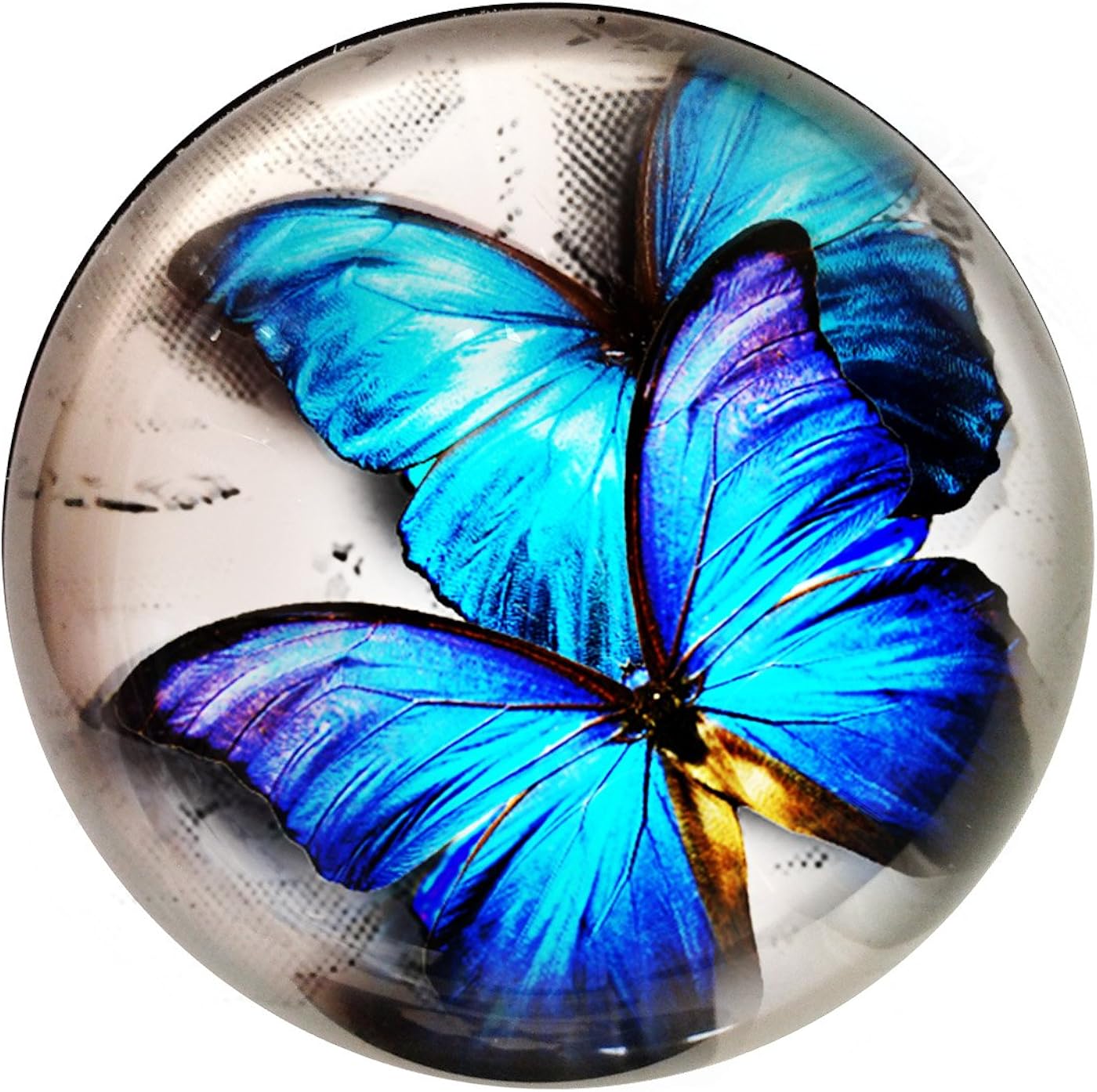 Large Glass Crystal Butterfly Paperweight Amazon.co.uk Jewellery