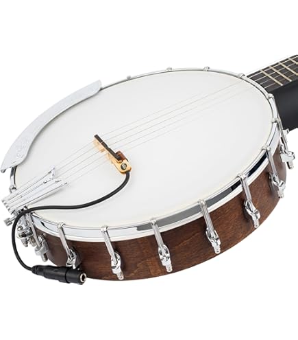 FISHMAN Classic Series Banjo Pickup 新品 Amazon.com: Fishman Classic Series Banjo Pickup : Musical Instruments