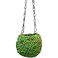 SuperMoss (29346) Kokedama Planter, 4", Fresh Green
