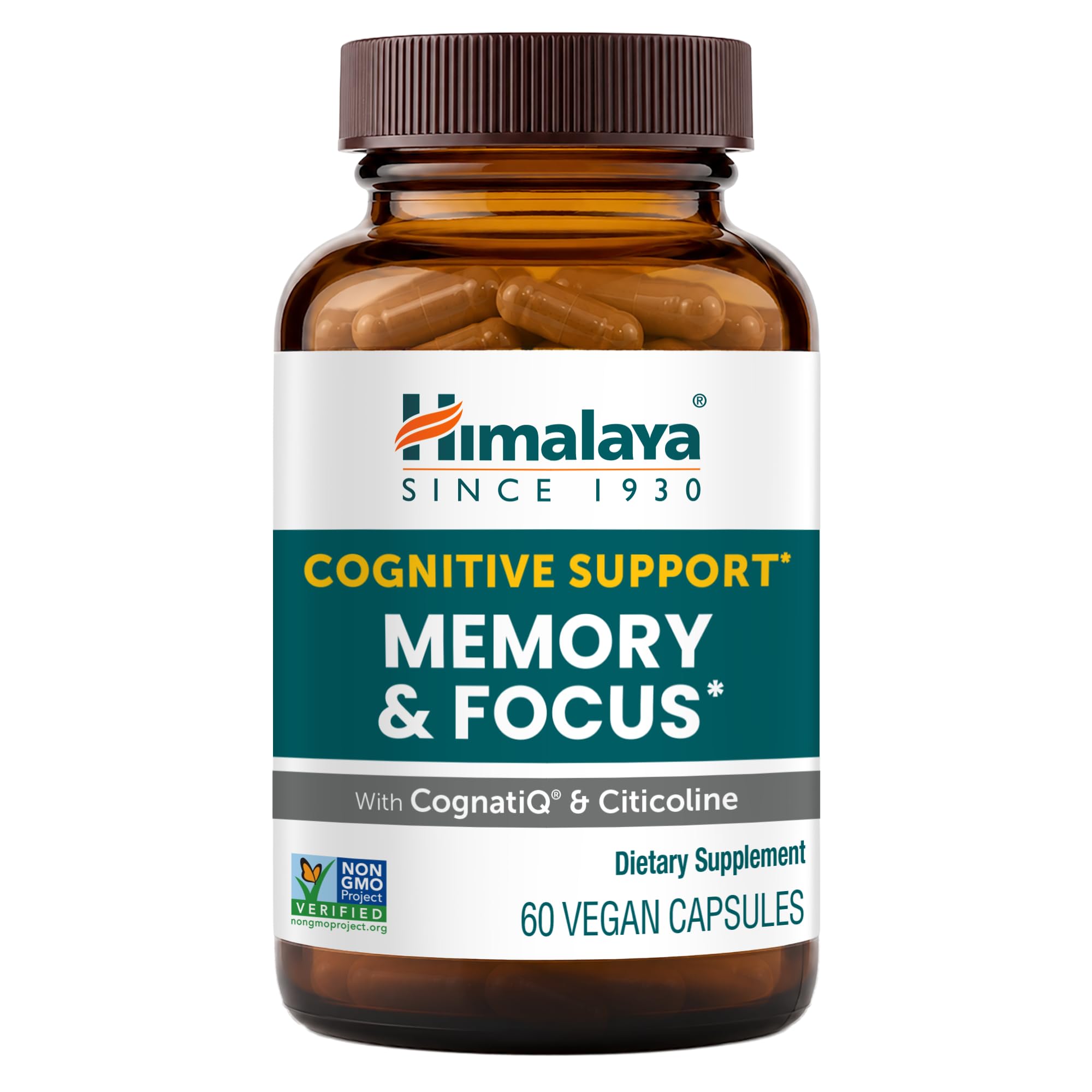 Memory & Focus