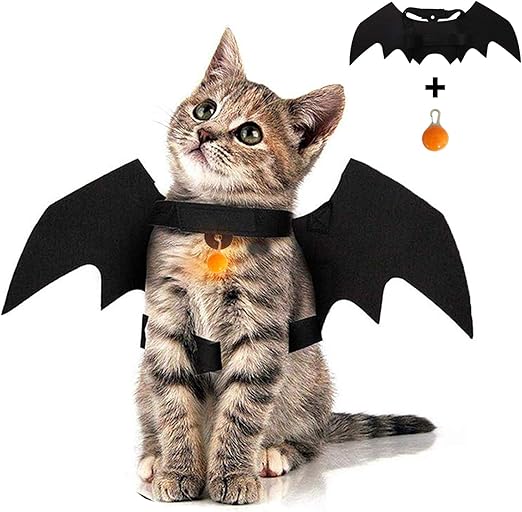 kitten clothes amazon