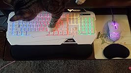 Review Image by Rick