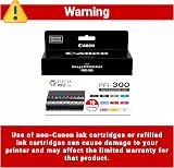Canon PFI-300 Lucia PRO Ink 10 Ink Tanks for imagePROGRAF PRO-300 Compatible view 3