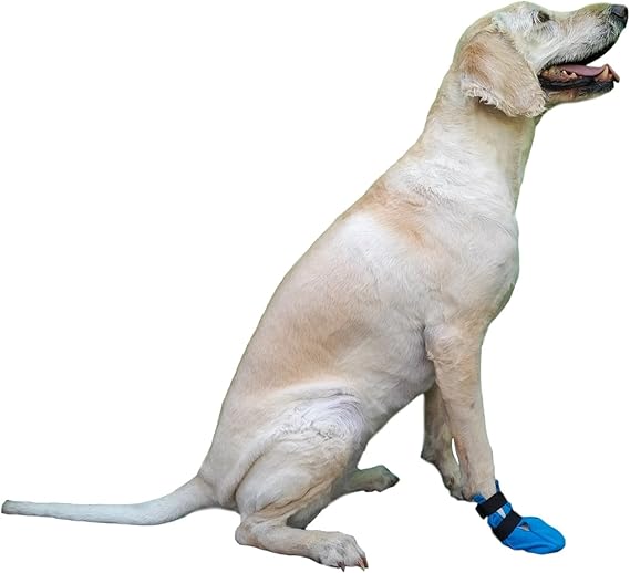wound boot for dogs