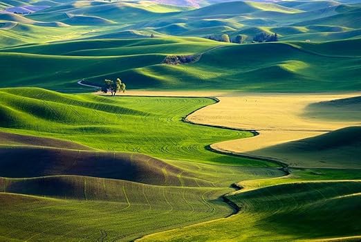 Amazon Com Campos Verdes Naturaleza Hermosa Natural Paisaje Arte Impresion De Lona Poster 28 X 42inch Home Kitchen