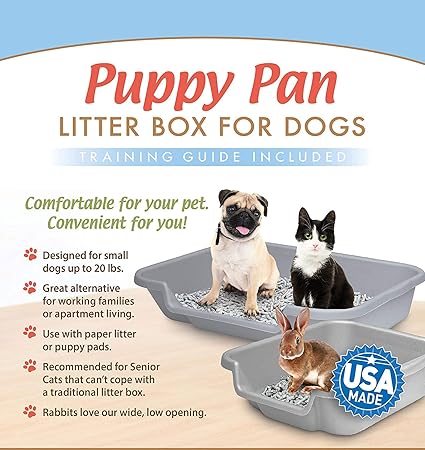 using cat litter for dogs