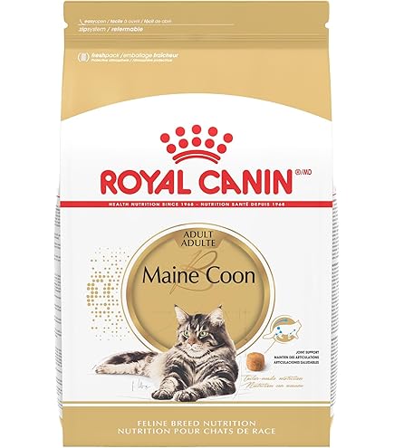 buy purina ur cat food Purina