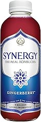 SYNERGY The Real Kombucha - Gingerberry - 16 fl oz Bottle - Raw Probiotic Drink for Gut Health and Immune Support