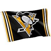 Desert Cactus Pittsburgh Penguins Flag NHL 100% Polyester Indoor Outdoor 3x5 feet National Hockey League Team Flags (Flag A)