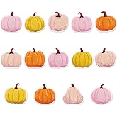 JarThenaAMCS 14Pcs Fall Iron-On Sew-On Patch Pink Orange Pumpkin Embroidered Cloth Patches Iron on Patterns for Autumn Harvest Thanksgiving Halloween DIY Crafts