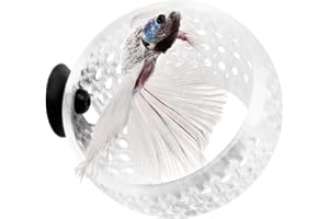 byMazy The Original Cave Lounge | Betta Fish Tank Swim-Through, Hideout Ornament for Betta, Small Fish and Shrimp – Aquarium Decoration with Plant Holder (Clear White, Medium)