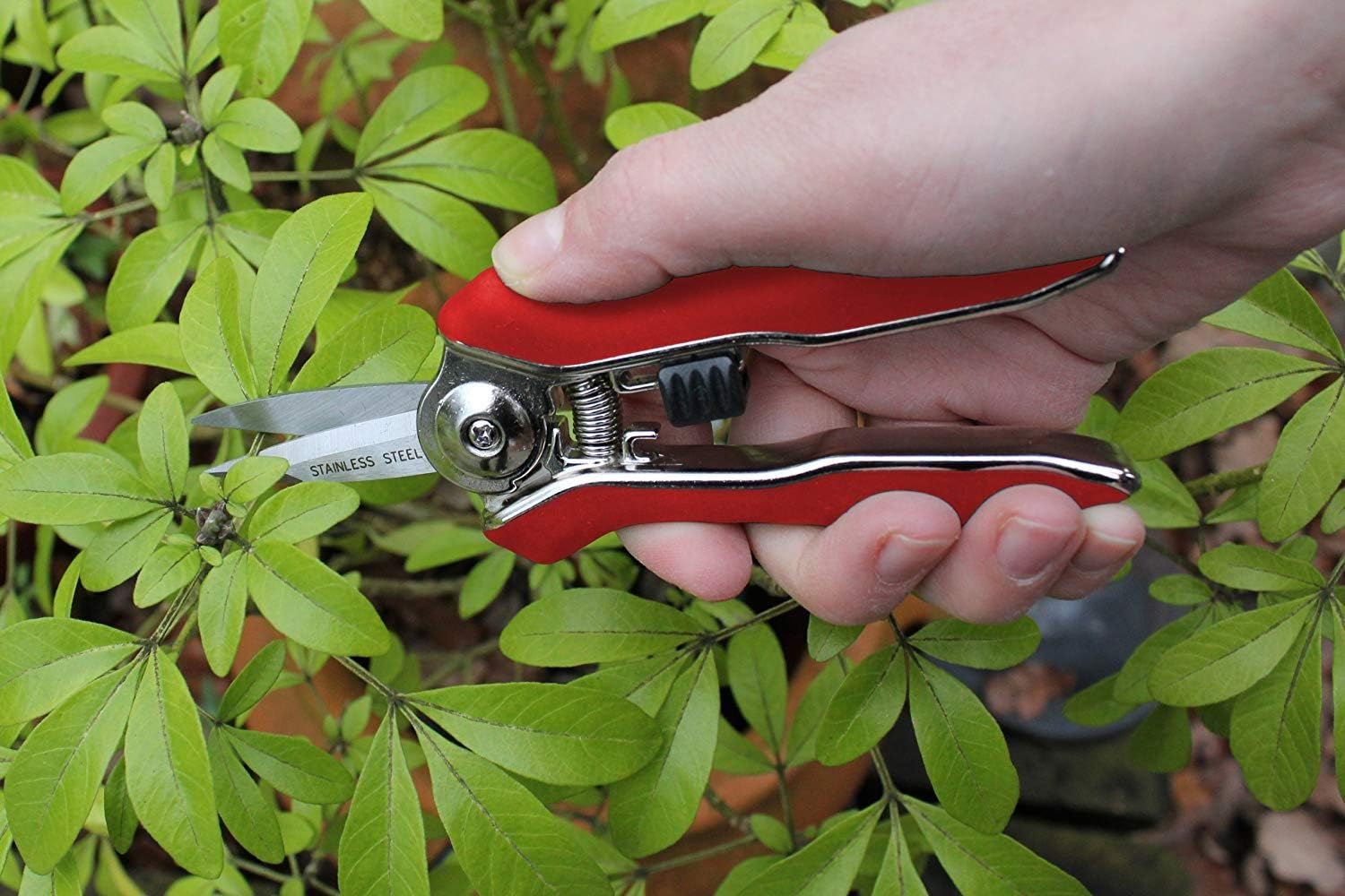 Darlac Mini Snips, Ideal for Deadheading Light Pruning, Floristry & Collecting Herbs, Stainless Razor Sharp Steel Blades - Image 5