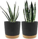 QCQHDU 20cm Plant Pot 2 Pack with Drainage Holes & Saucer Dark Grey