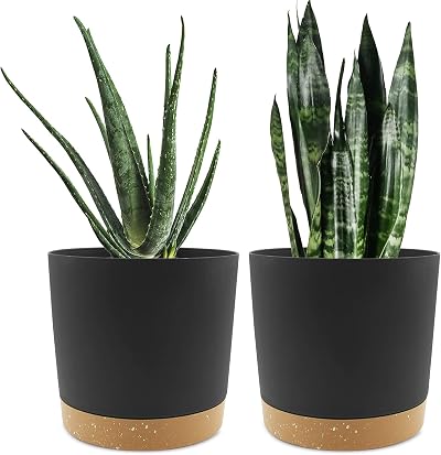 QCQHDU 20cm Plant Pot 2 Pack with Drainage Holes & Saucer Dark Grey