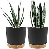QCQHDU 8 inch Plant Pot, 2 Pack Planters for Indoor Plants with Drainage Holes & Saucer, Outdoor Flower Pots Home Garden Modern Decor