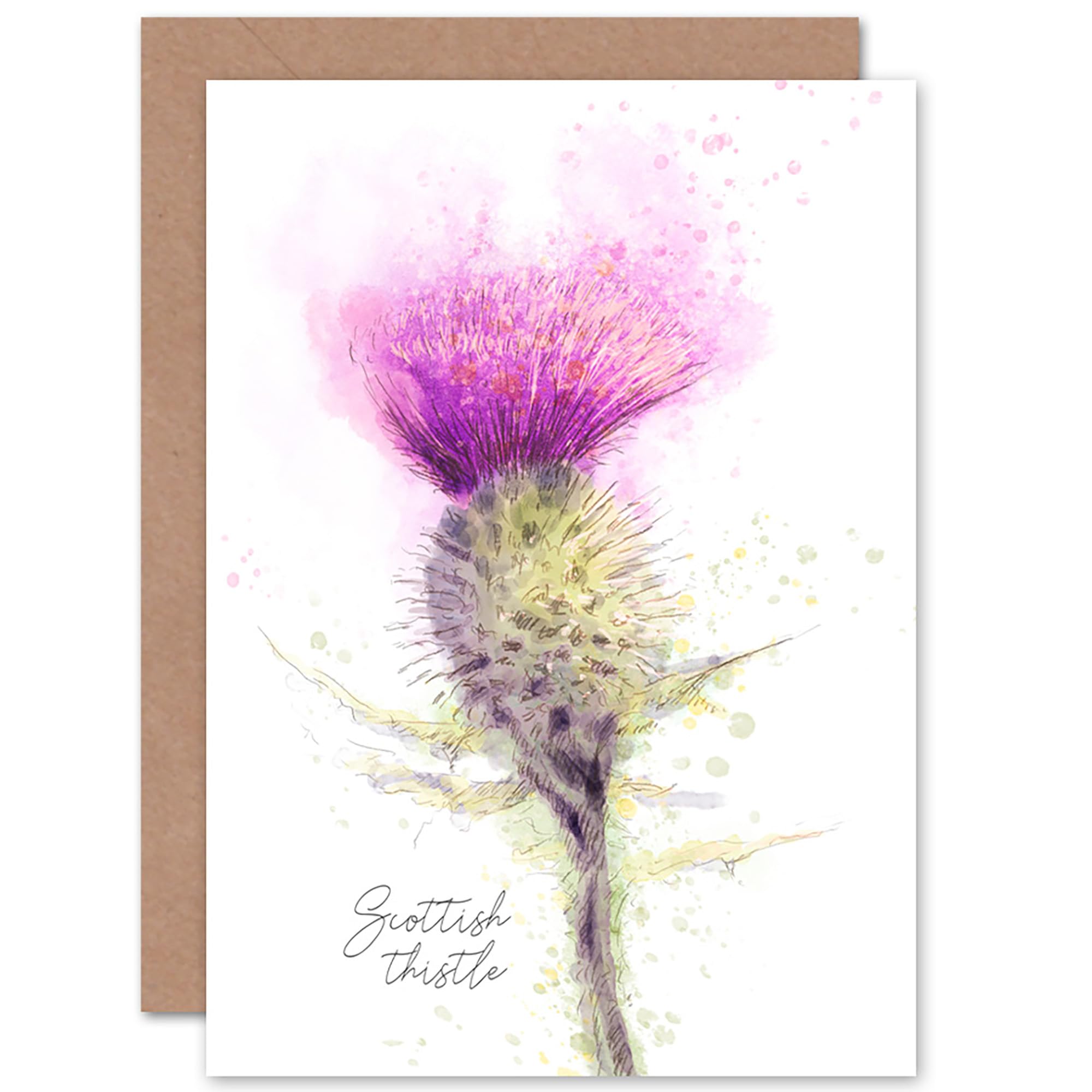 Wee Blue Coo Scottish Thistle Flower Head Watercolour Scotland Greeting Card