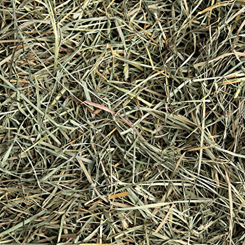 Small Pet Select Orchard Grass Hay 10lbs Delivered Fresh Pricepulse