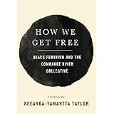 How We Get Free: Black Feminism and the Combahee River Collective