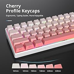 iRoboosta Cherry Profile Side Printed PBT