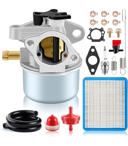 Amazon.com : Carburetor For Ruixing model 216852 For Briggs and