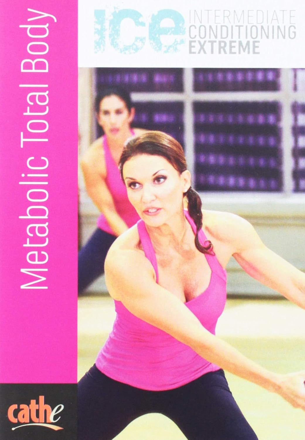 Which Is The Best Stops Ice From Going On Floor Ice Maker