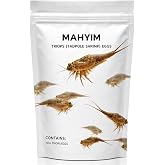 Triops Hatch &amp; Raise Kit &ndash; 100+ Eggs Capsule with Complete Food Supply for One Full Life Cycle | Ancient Prehistoric Pet Growing Set | Easy Educational Aquarium Experience