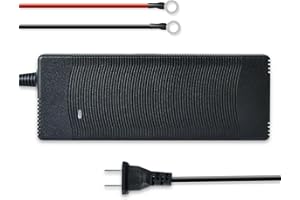 DC HOUSE 14.8V 10A LiFePO4 Lithium Battery Charger, 300W Fast Charger,BMS,Mode Indicator Lights, Suitable for 12V Lithium/Lif