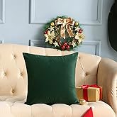 mixeoo Comfy Hunter Green Throw Pillow Covers Christmas Decorative Square Solid Thick Velvet Super Soft Cushion Cases Home Decor for Sofa Couch Living Room Chair, Set of 1, 24 x 24 Inch
