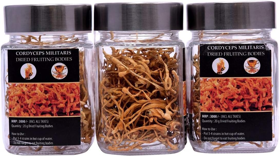 ICHIBA Cordyceps Militaries Dried Fruiting Bodies