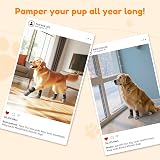 PICK FOR LIFE Dog Socks Paws Stop Licking with Velcro Grippers Grey M view 7