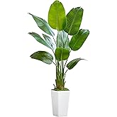 Bird of Paradise Artificial Plant, 5FT Faux Plants Indoor Banana Leaf Tree with 9 Leaves, Large Fake Tropical Potted Indoor Silk Floor Plant with White Tall Planter for House,Office,Room,Home Decor