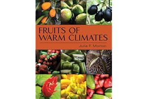 Fruits of Warm Climates