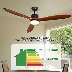 Depuley 52" Ceiling Fan with Lights Remote
