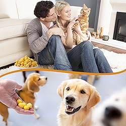 capuca Freeze Dried Quail Egg Yolk Cat & Dog Treats