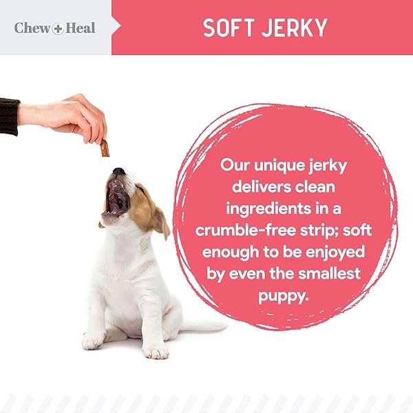 CHEW + HEAL LABS DOG SALMON JERKY FOR PUPPIES – 12 OZ OF WILD CAUGHT ALASKAN SALMON JERKY FOR PUPPY DEVELOPMENT WITH CHICKPEAS, CARROTS, SWEET POTATO, AND FRUIT – MADE IN THE USA
