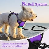 rabbitgoo Dog Harness Small No Pull Reflective Adjustable Vest Purple XS view 6