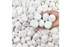 FANTIAN 5 lbs White River Rocks, Polished Pebbles for Indoor Plants, 2-3 inch Decorative White Stones for Plants Vase Garden and Landscaping Rocks